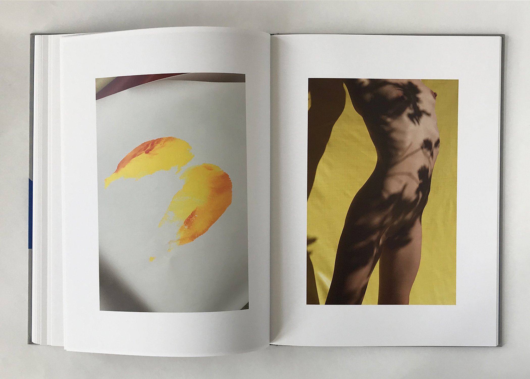 Photobook: Roxane II by Viviane Sassen - 1854 Photography