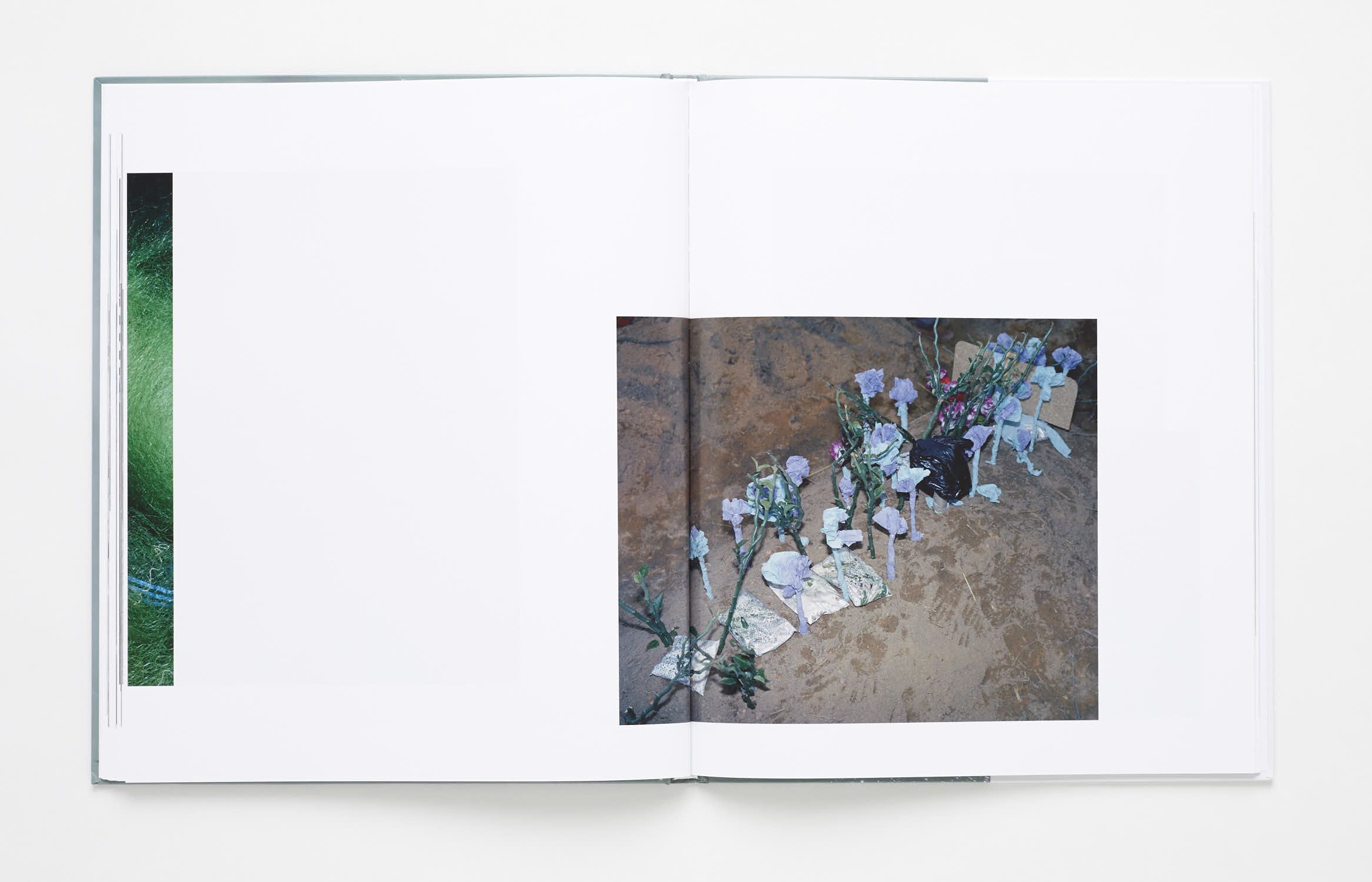 Viviane Sassen • Parasomnia