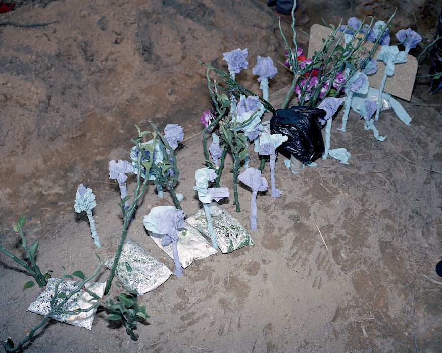 Viviane Sassen • works • UMBRA