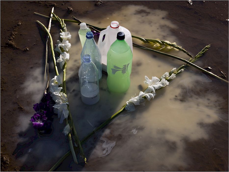 of viviane sassen mud and lotus サイン入り centre inc. | Viviane Sassen: Of Mud and Lotus