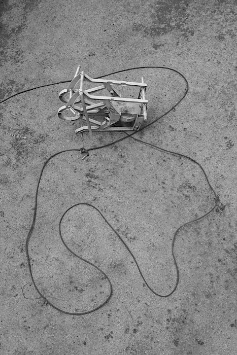 Viviane Sassen • Pikin Slee