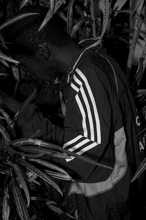Viviane Sassen • Pikin Slee