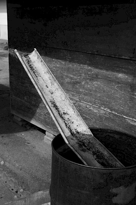 Viviane Sassen • Pikin Slee