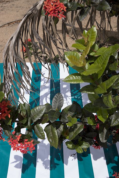 Viviane Sassen • Pikin Slee
