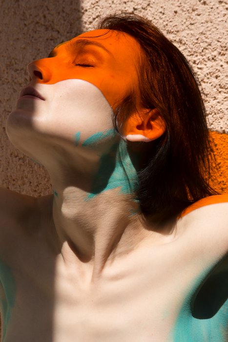 Viviane Sassen • Roxane II