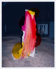 Viviane Sassen • works