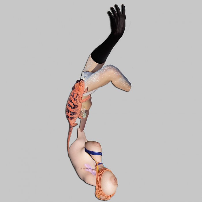 Viviane Sassen • Consequences / Cadavre Exquis
