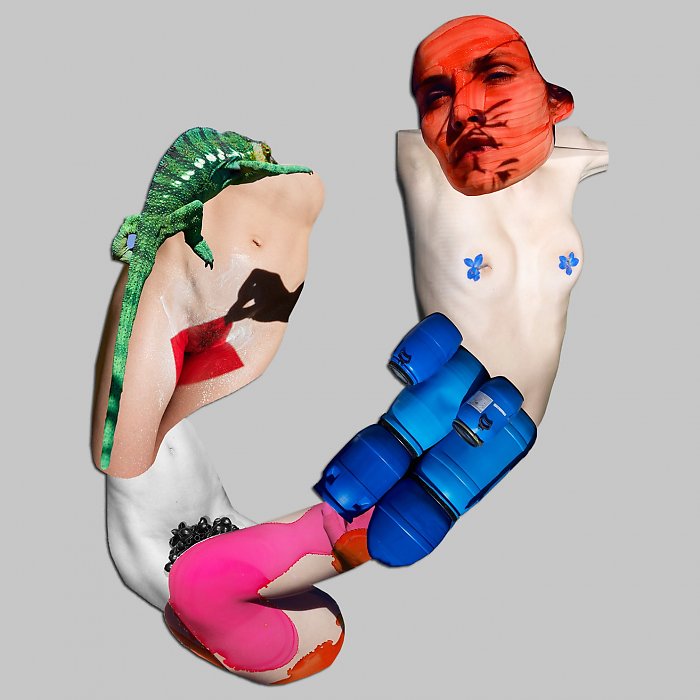 Viviane Sassen • Consequences / Cadavre Exquis