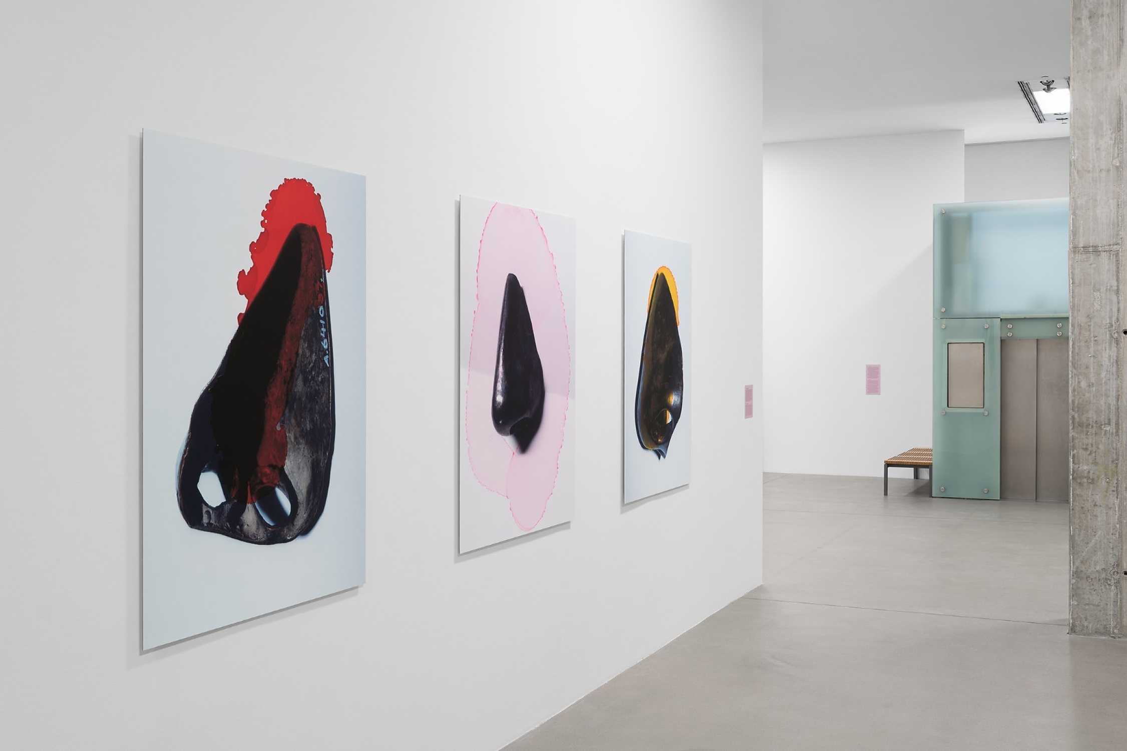 Viviane Sassen • Venus & Mercury – untold stories of French Versailles